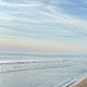 Meet your Posher, Lily